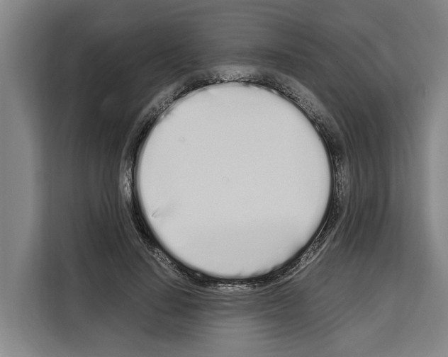 X0000108480644200905151224