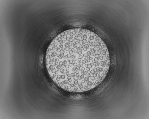 X0000108480646200905151224