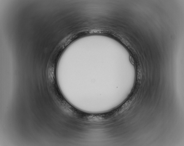 X0000108480648200905151224