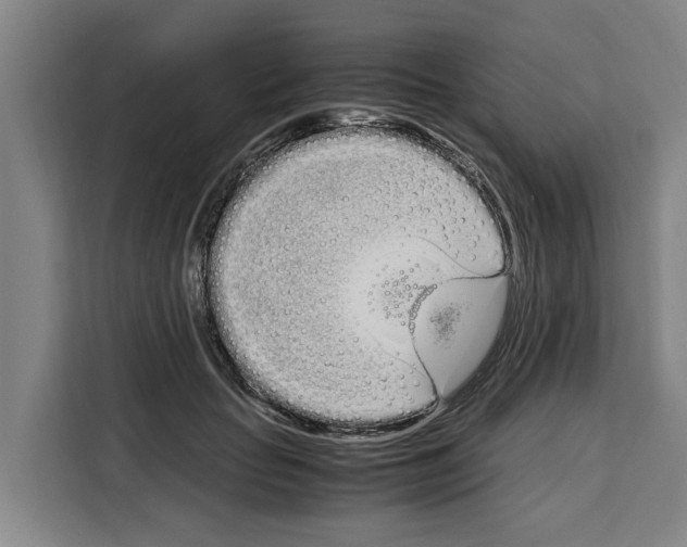 X0000108480653200905151224