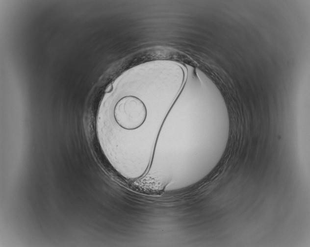 X0000108480654200905151224
