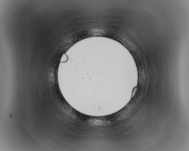 X0000108480655200905151224