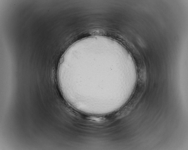 X0000108480659200905151224