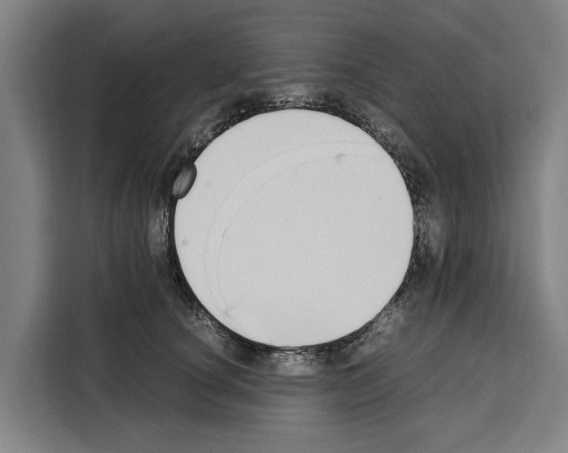 X0000108480660200905151224