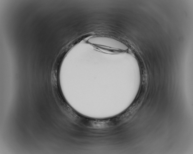X0000108480661200905151224
