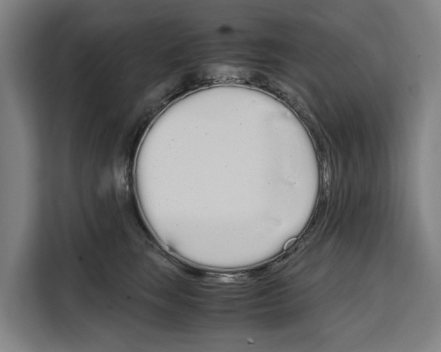 X0000108480663200905151224