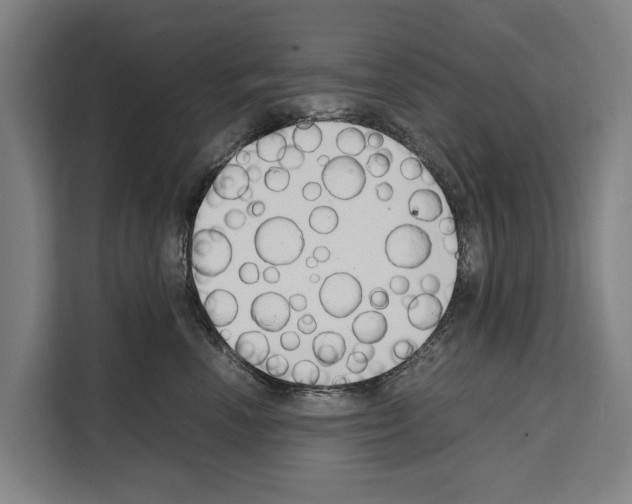 X0000108480666200905151224