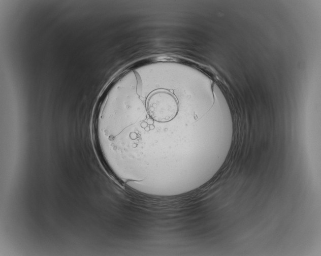 X0000108480667200905151224