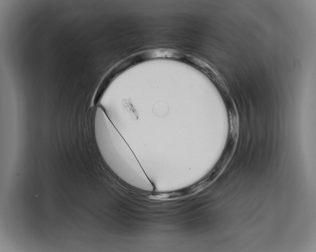 X0000108480669200905151224