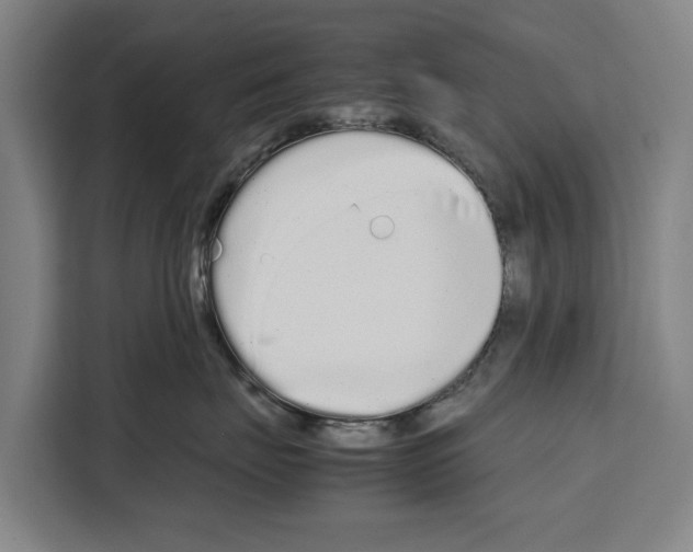 X0000108480671200905151224