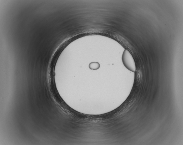 X0000108480676200905151223