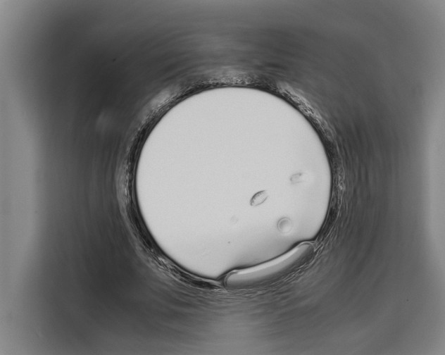 X0000108480679200905151223