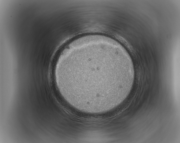 X0000108480680200905151223