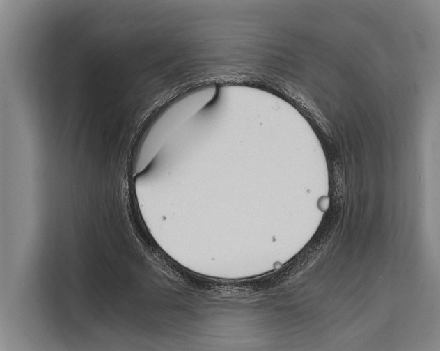 X0000108480681200905151223
