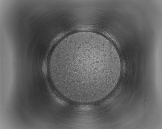 X0000108480682200905151223