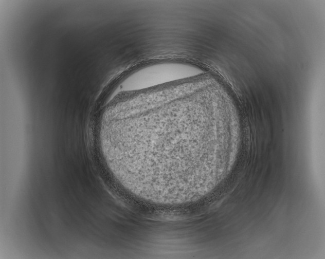 X0000108480688200905151223