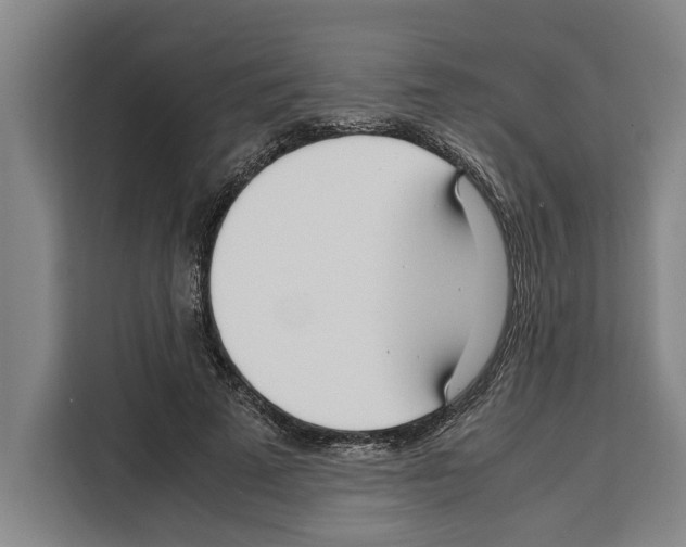 X0000108480689200905151223