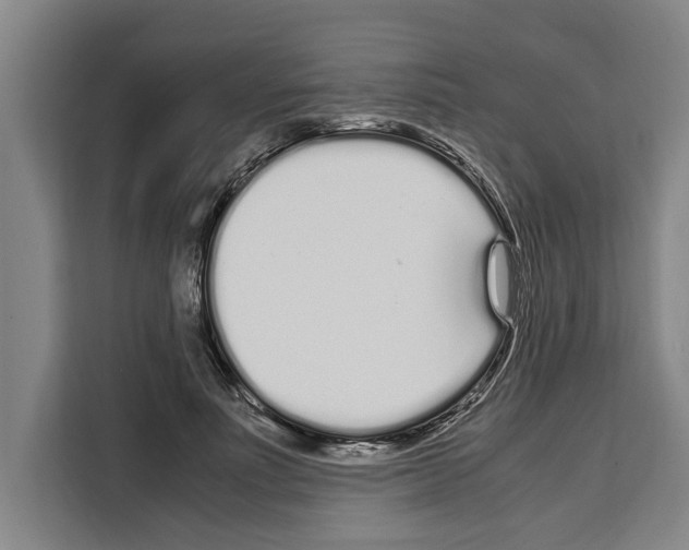 X0000108480691200905151223
