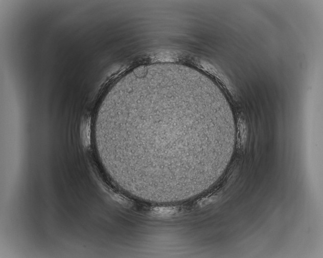 X0000108480694200905151223