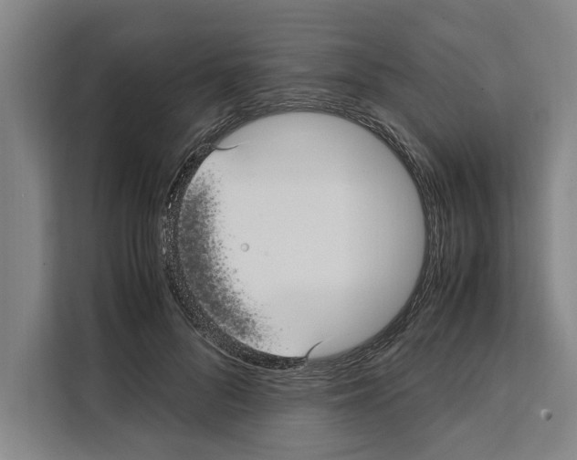X0000108480696200905151223