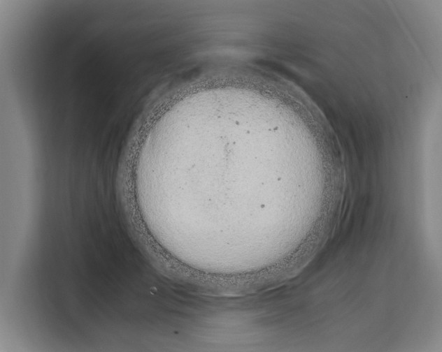 X0000108480701200905151223