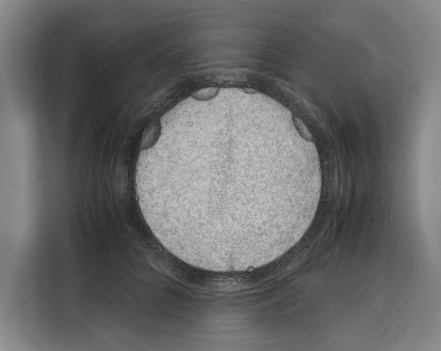X0000108480704200905151223