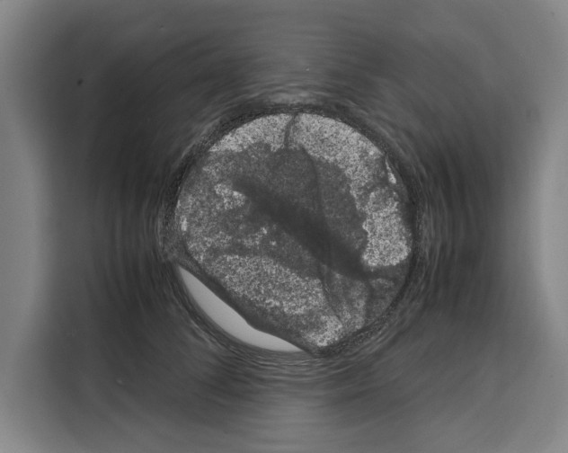 X0000108480708200905151223