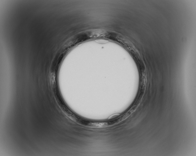 X0000108480711200905151223