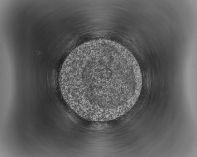 X0000108480712200905151223