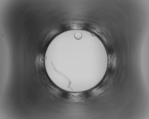 X0000108480713200905151223