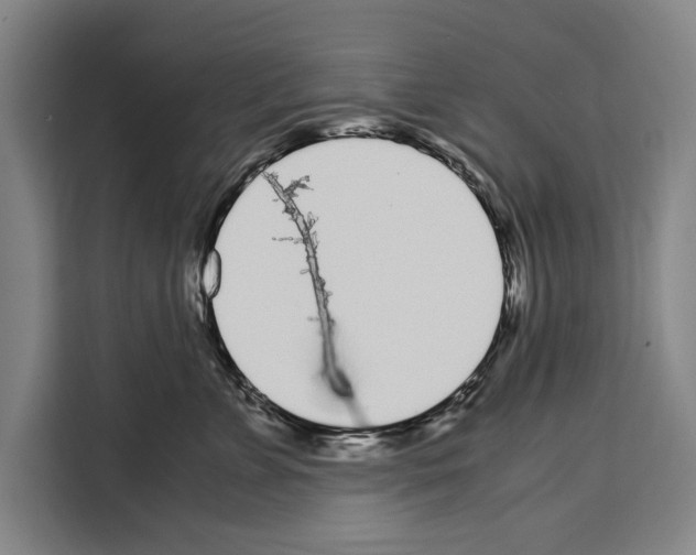 X0000108480715200905151223