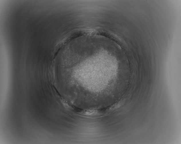 X0000108480720200905151223
