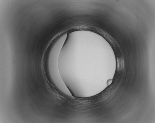 X0000108480723200905151222