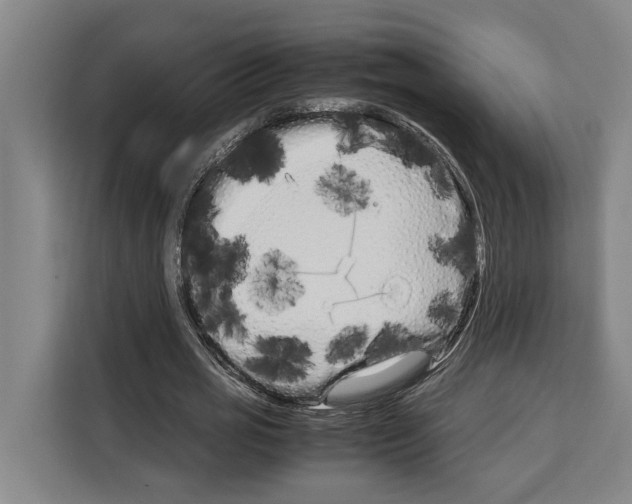 X0000108480725200905151222