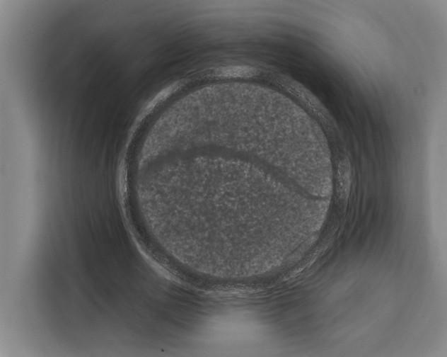 X0000108480726200905151222