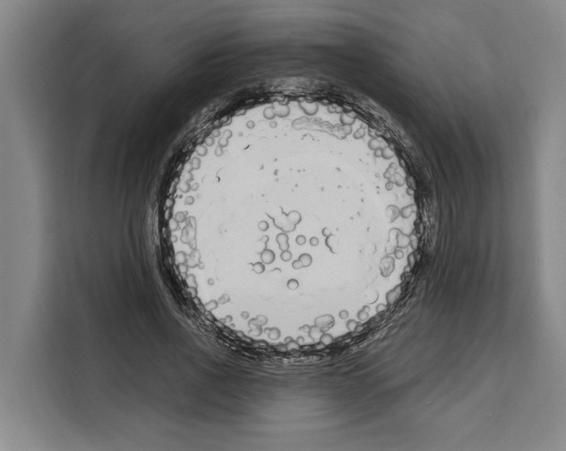 X0000108480734200905151222
