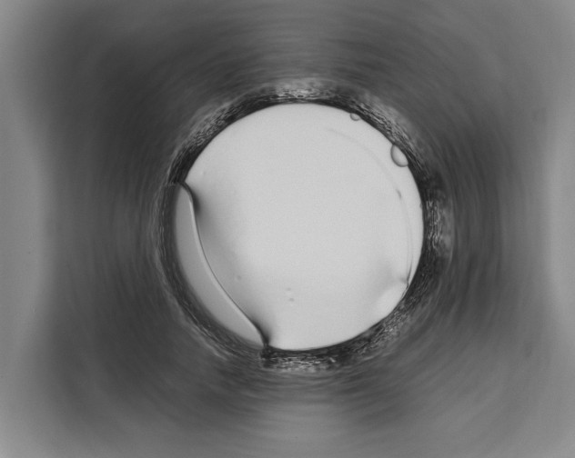 X0000108480738200905151222