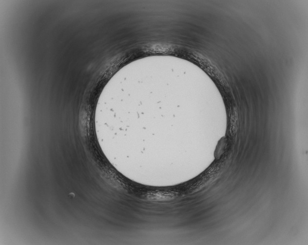 X0000108480739200905151222