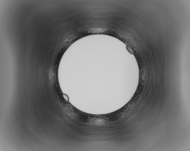 X0000108480743200905151222