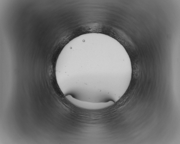 X0000108480748200905151222