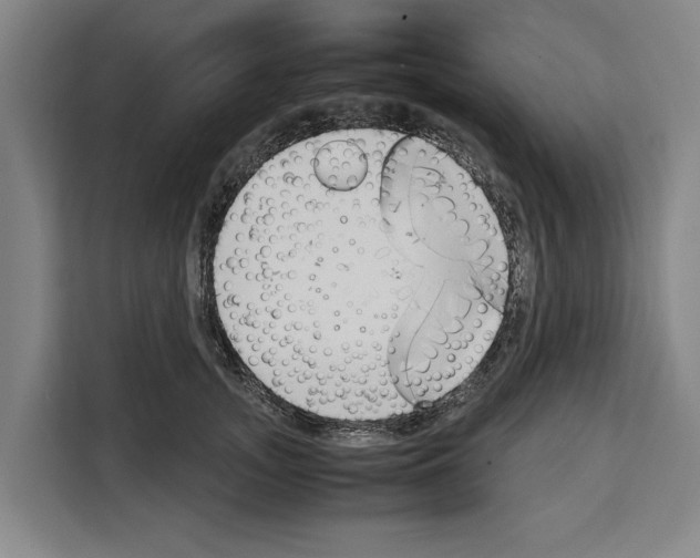 X0000108480755200905151223