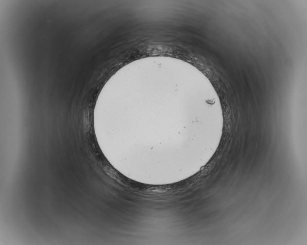 X0000108480756200905151223