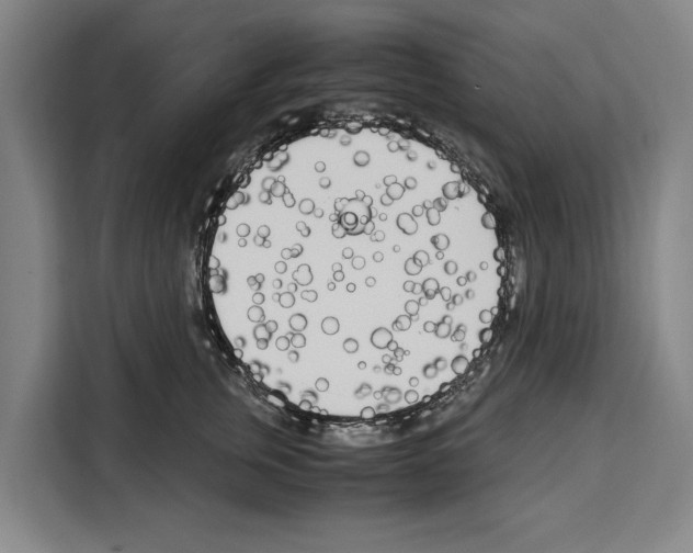 X0000108480759200905151223