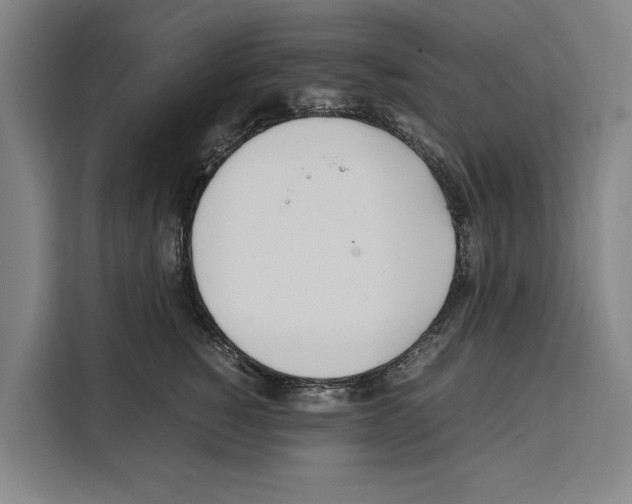 X0000108480760200905151223