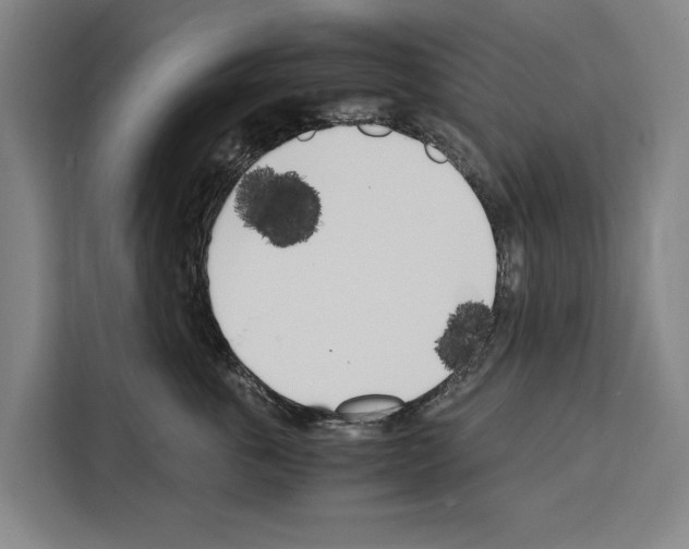 X0000108480763200905151223
