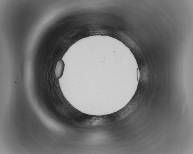 X0000108480764200905151223