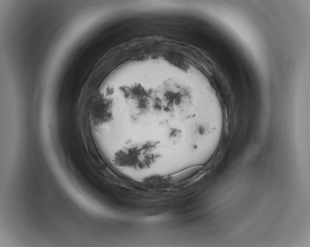 X0000108480765200905151223