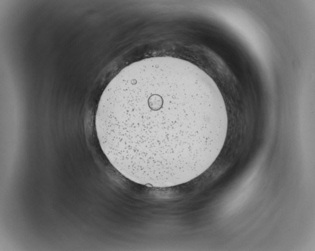X0000108480767200905151223