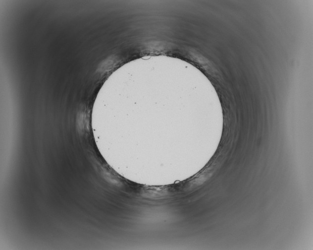 X0000108480768200905151223