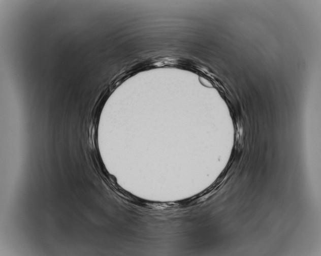 X0000108480772200905151222